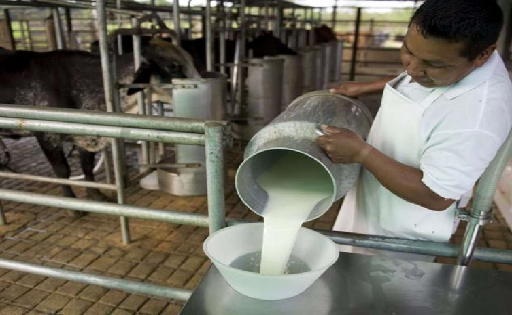 Productores lecheros se declaran en emergencia y dan plazo de 42 horas para revisar el precio de la leche