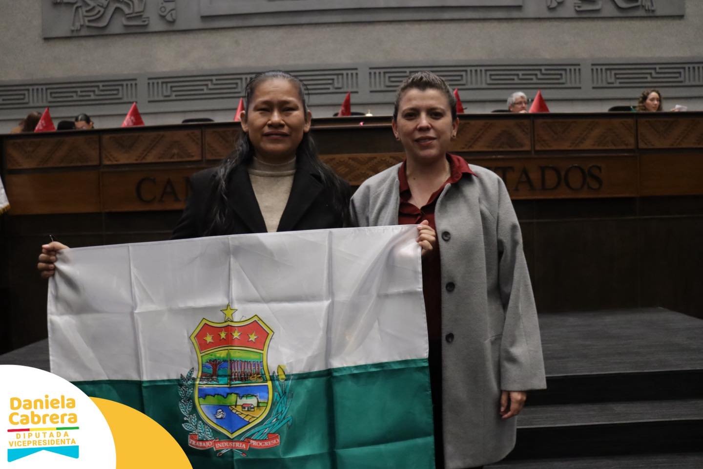 Histórico: Aida Luz Tuchani es la primera diputada de Bolivia con discapacidad visual; asumió hoy